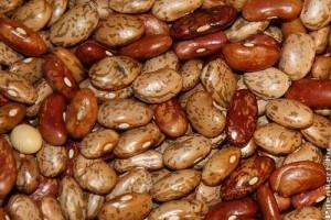 Piaci árak - 6. hét 2016.