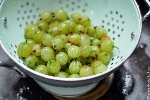 Édes-savanyú nyári desszert: egres granita