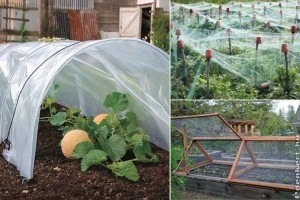 Jégeső ellen házilag: így tudod megvédeni a kertedet