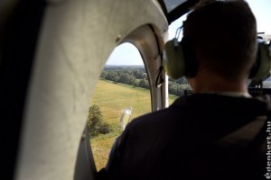 Rendőrségi helikoptert is bevetnek a parlagfűves területek felmérésébe