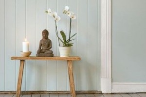 A Feng shui szerint a növények rejtett energiával rendelkeznek