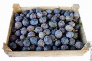 Zöldség-gyümölcs piaci árak 2016. október közepén