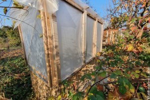 3+1 ötlet, hogyan védjük a fagytól a veteményest és a fiatal növényeket