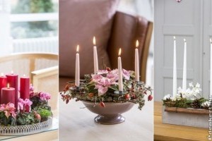 Adventi koszorú élő virágból, igazi kölünlegesség