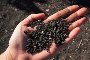 10 érdekes adat a talajokról