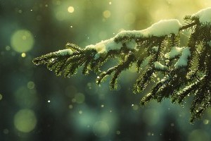 Katalin, Erzsébet: milyen téli időjárást jövendöl?