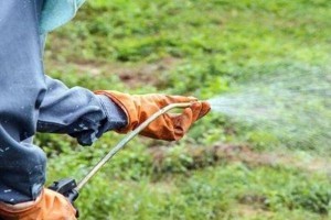 Már csak egy évig használhatók az alábbi totális gyomirtók