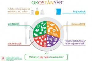 Az OKOSTÁNYÉR megmutatja, mit kell ennünk egy nap!