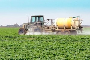 Gyomirtás glifozát nélkül? Vita az EU-ban