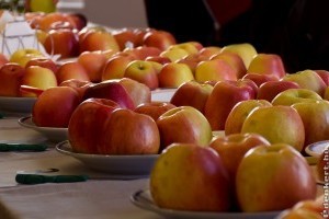 Ők lesznek a jövő almafajtái?