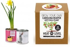 Neveld fel könnyedén a saját chilid az ablakban