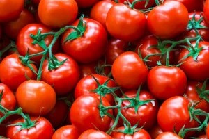Rekordod dönt a fürtös paradicsom ára a piacon
