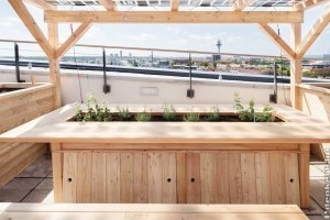 Okoságyást fejlesztettek ki Bécsben – meg is öntözi magát, ha kiszáradt