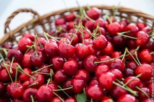 Új meggyfajta válthatja ki napi C-vitamin bevitelünket