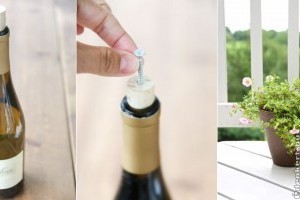 Borosüvegből csepegtető öntöző házilag