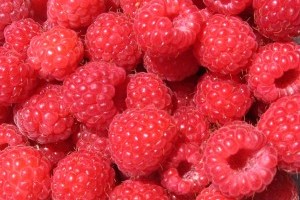 Külföldön sikeresebb a magyar málna, mint itthon?