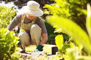 Mennyi sportot jelent 1 óra kertészkedés?