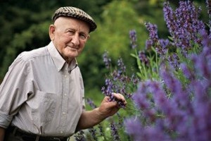 Immunerősítés gyerekeknek - Gyuri bácsi gyógyfüves tanácsai