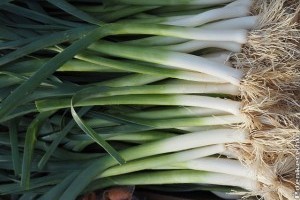 2018 újévi piacles