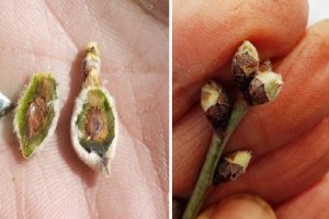 Az idei tél feladta a leckét: enyhe tél szibérira faggyal zárva