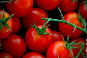 2018 márciusi piacles: jóízű már a fürtös paradicsom?