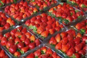 Így alakul a szamóca ára tavasszal a piacon