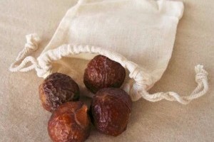 Levéltetvek ellen: készítsünk mosódióból permetszert