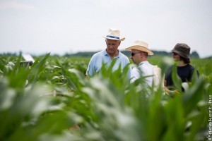 Stressztűrő hibridek, innovatív növényvédelmi megoldások a Syngenta válaszai a változó klímára