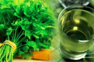 Petrezselyem, nem csak levesbe való...