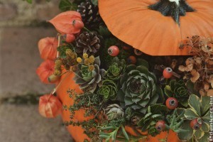 Tökdíszítés élő virággal