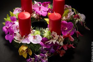 Advent orchideákkal- őszi kiállításajánló