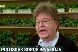 Végre Szilveszterkor kiderült, hogy ki tehet a poloskainvázióról