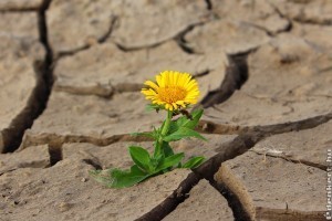 2018 volt a legmelegebb év Magyarországon