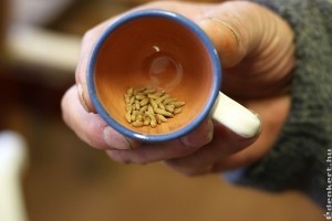 200 éves gabonaszemeket találtak, szenzáció lenne, ha csíraképesek