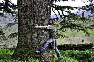 Gyógyító fák: a tölgytől a varsafáig