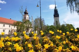 Június 1-ig lehet jelentkezni a Virágos Magyarország versenyre