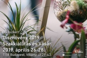 Hétvégén újra dísznövény kiállítás a fővárosban