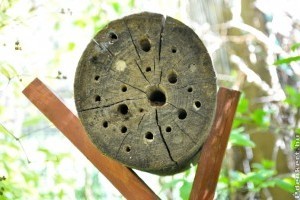 Darázsgarázs farönkből egyszerűen