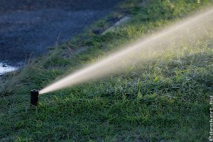 Mit kell tudni a vezérlővel ellátott, könnyen kezelhető automata öntözőkről?