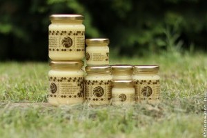 A méhpempő javítja a memóriát, és a demencia ellen is megoldást nyújt