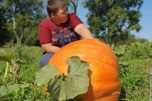 Óriás tökök versenyeznek hétvégén Rácalmáson