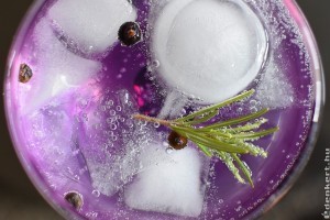 A  gin krónikája