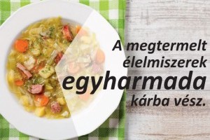 Most megtudhatod. hogy mennyi élelmiszert pazarolsz