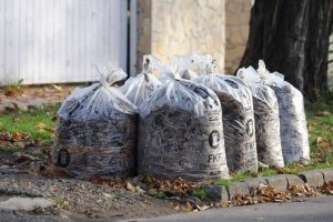 Kerti zöldhulladék: tudnivalók az elszállításról