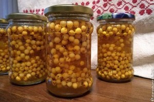 Őszi immunerősítő recept: homoktövis mézben