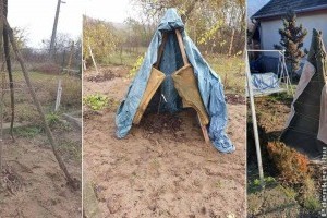 Fagyérzékeny növények teleltetése - erre érdemes figyelni