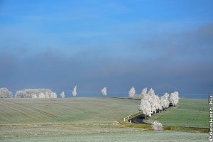 2020 január: Hiányzik a hideg és a hó a földekről