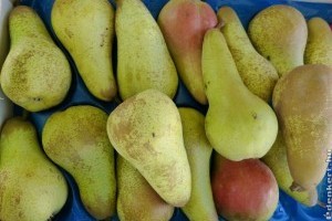 Zöldség-gyümölcs piaci árak 2020 január