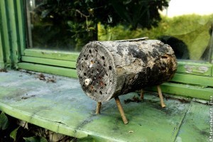 Tél végén ideje kihelyezni a méhecskehoteleket