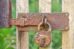 Maradj otthon és kertészkedj!